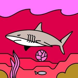 Meet your Posher, Corey